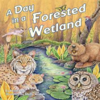 A_Day_in_a_Forested_Wetland